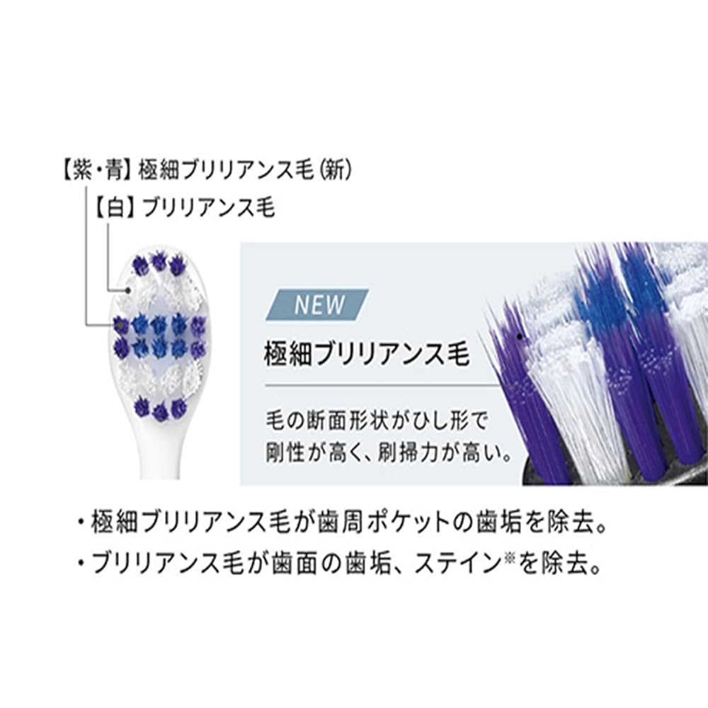 Panasonic EW-DP57 電動歯ブラシ 本体 + 替えブラシ2本 概要 音波振動ハブラシ(電動歯ブラシ) ドルツ EW-DP57